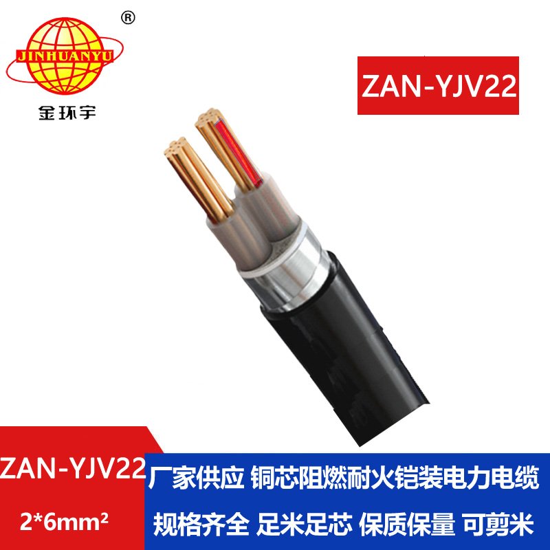 金環(huán)宇電線電纜 ZAN-YJV22-2X6平方 a級阻燃耐火鋼帶