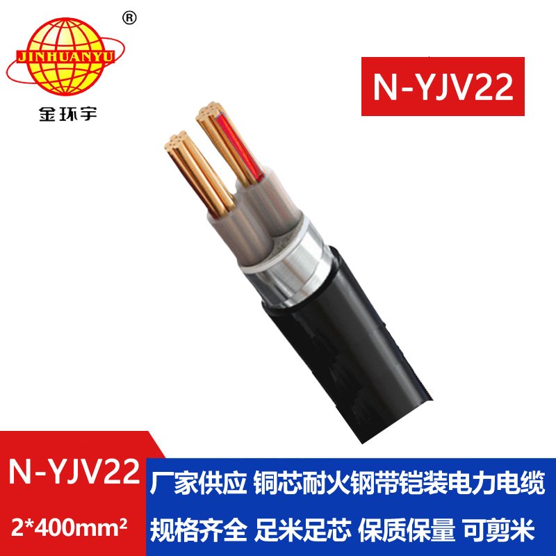 金環(huán)宇電線電纜 yjv22鋼帶鎧裝電力電纜N-YJV22-2X