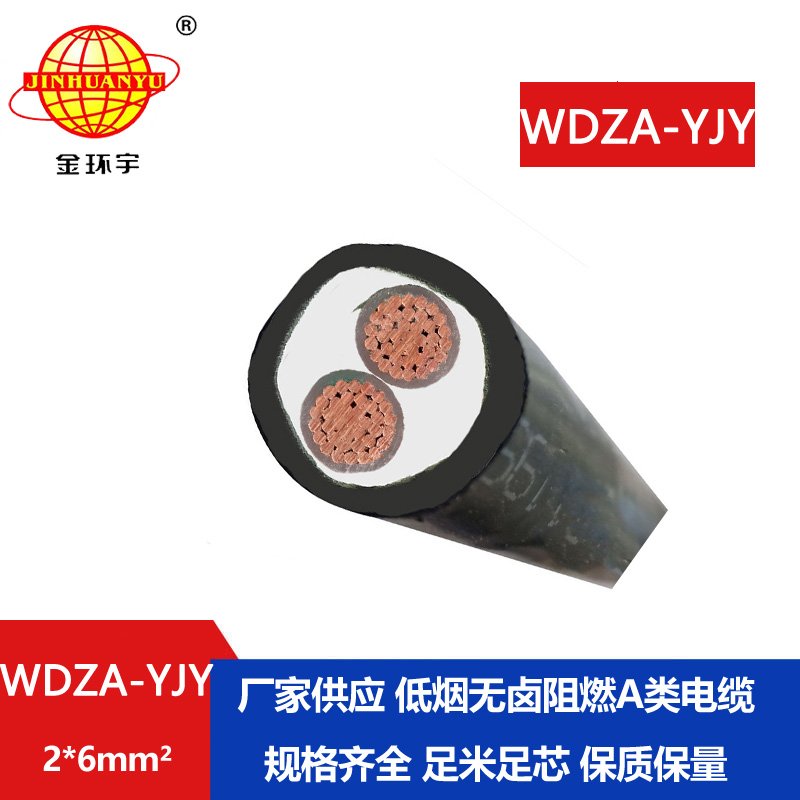 金環(huán)宇電線電纜 二芯鎧裝電纜WDZA-YJY 2X6工程專用